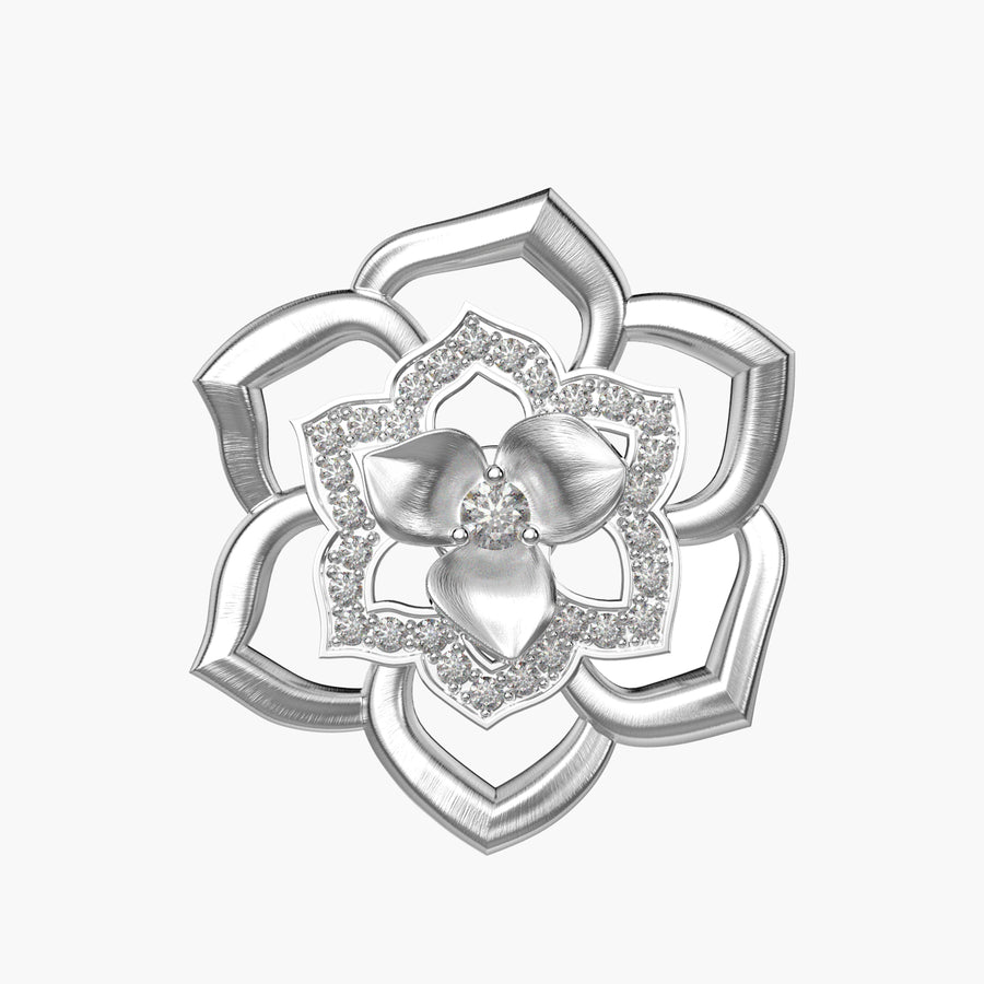 Сharm Flower of Lotus