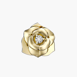 Charm Yellow Rose