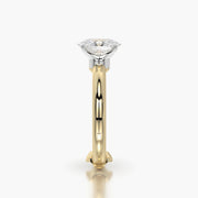 Rounded TRing & Oval Classic 1.0ct