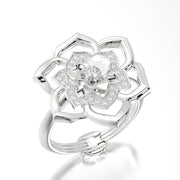 Сharm Flower of Lotus